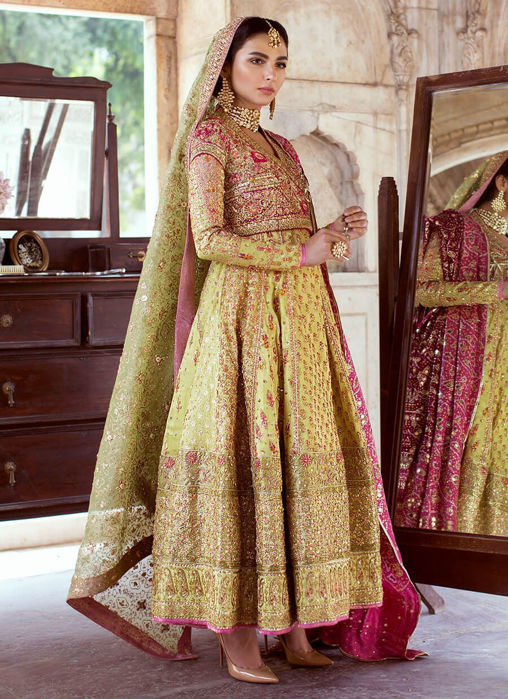 Dhaani Kalidaar