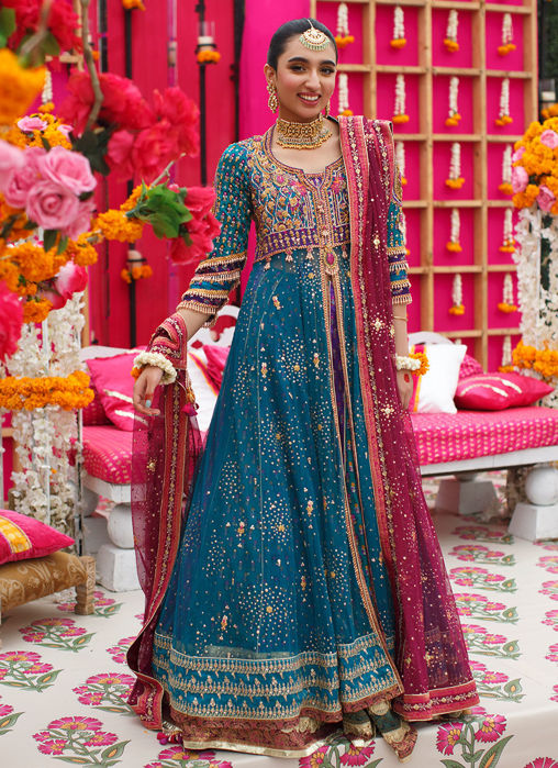 Picture of Neha Peacock Kalidaar