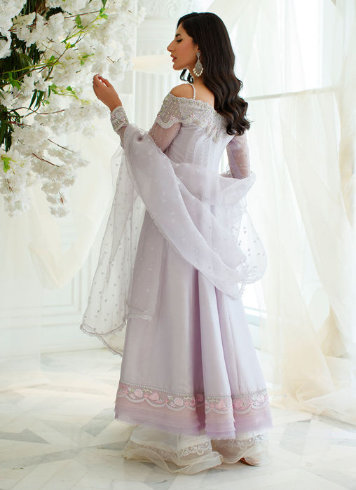 Delvey Kalidaar And Dupatta