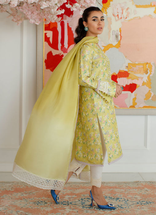 Eden Kiwi Shirt And Dupatta