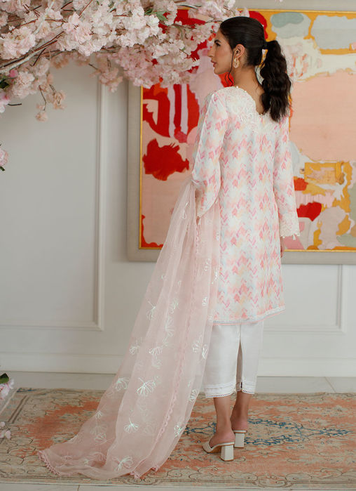 Ikat Mia Shirt And Dupatta