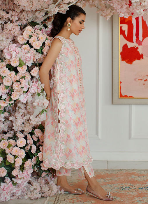 Ikat Emma Shirt And Dupatta