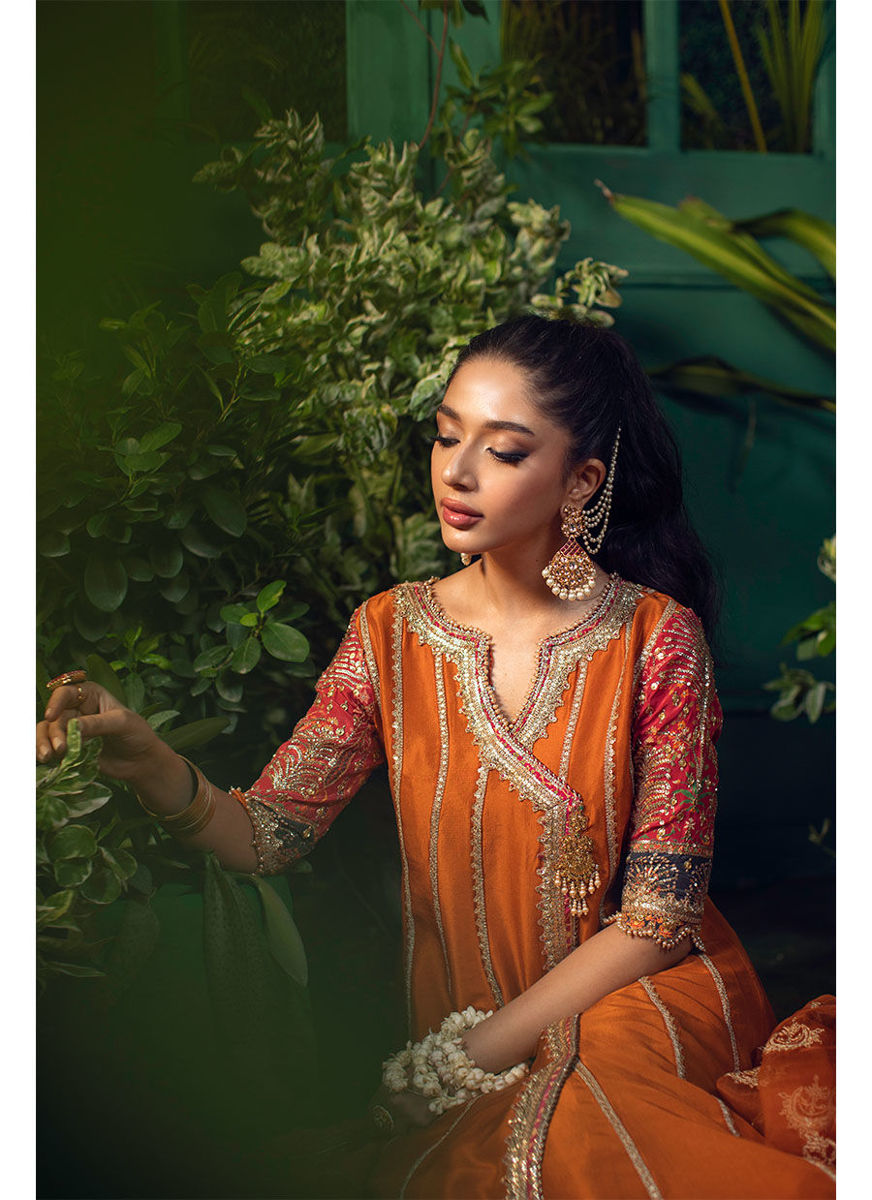 Shohreh Rust Kalidaar With Organza Baali Embroidered  Sequence Dupatta