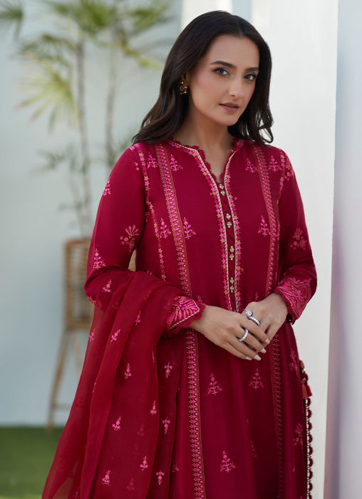 Dion Scarlett Paneled Shirt And Dupatta