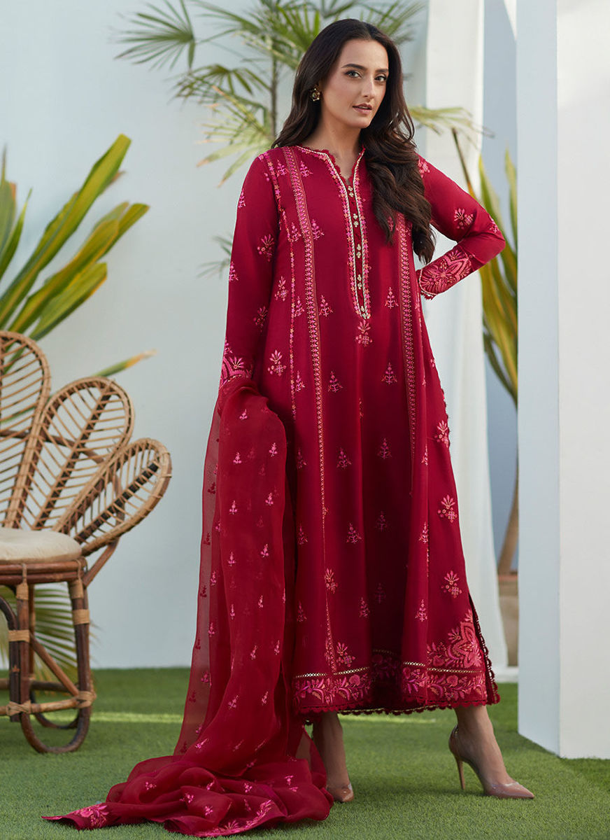 Dion Scarlett Paneled Shirt And Dupatta