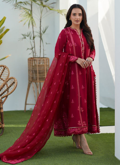 Dion Scarlett Paneled Shirt And Dupatta