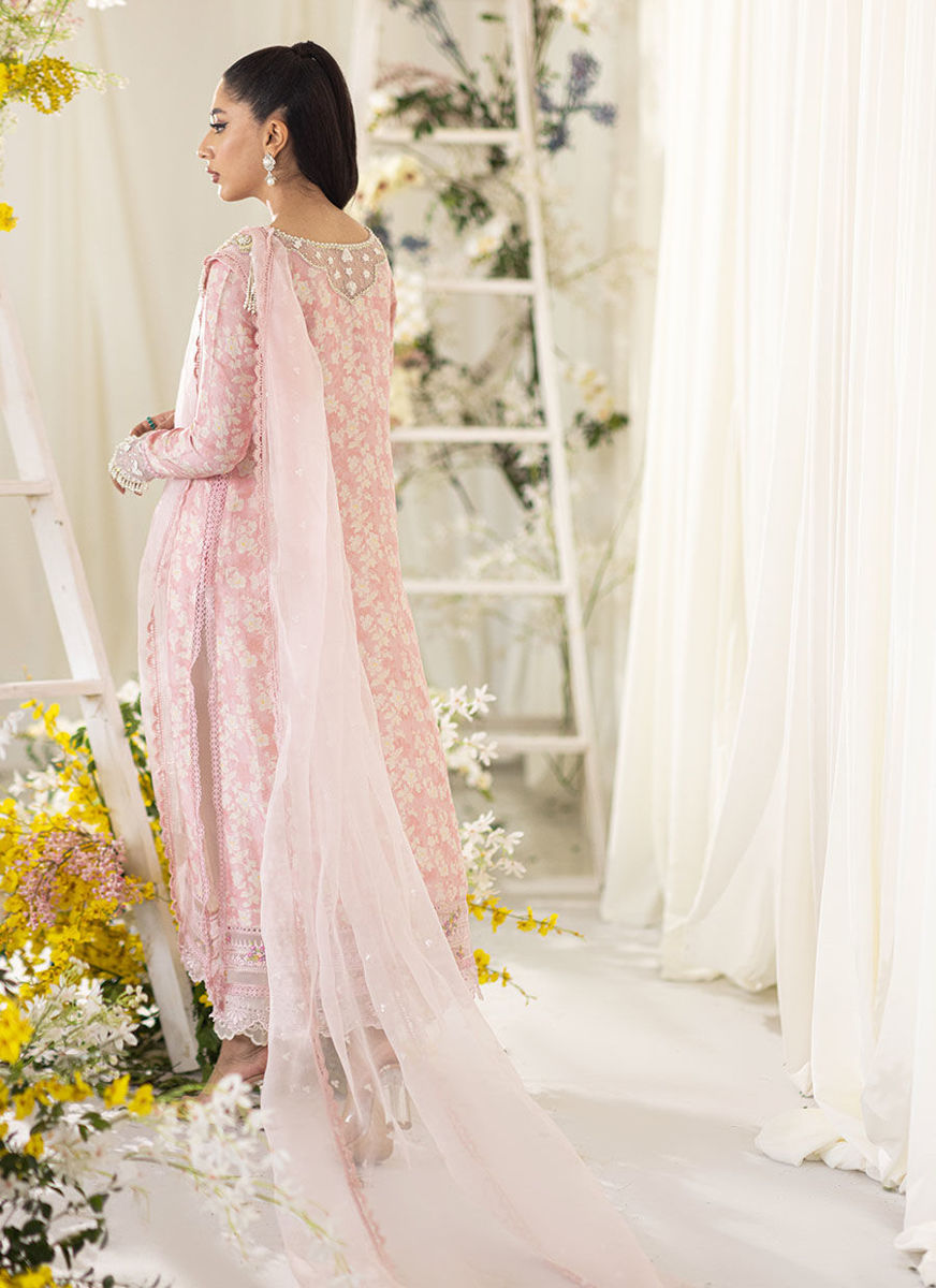 Olea Blush Silk Shirt And Pre-Draped Dupatta