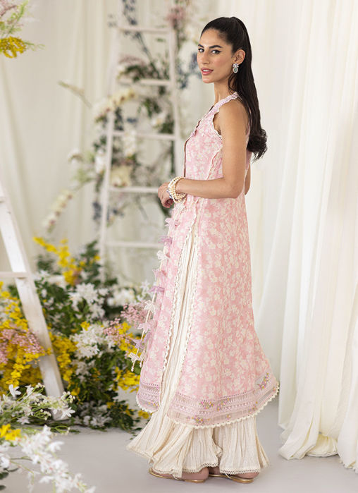 Nesta Blush Crushed Pants