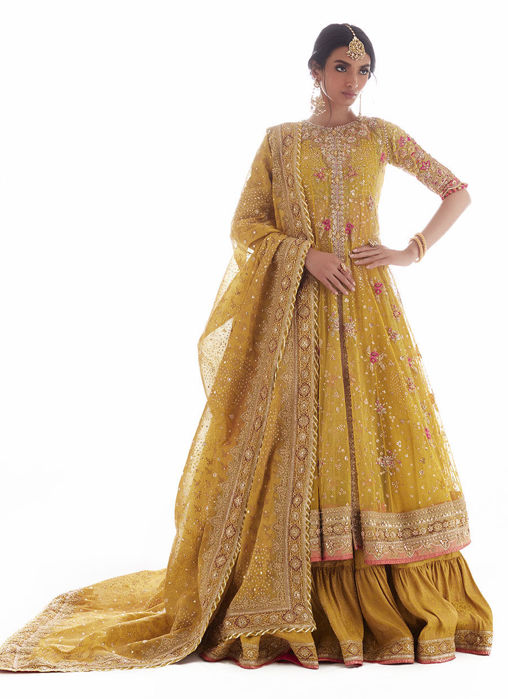 Picture of Leen Kiwi Kalidaar