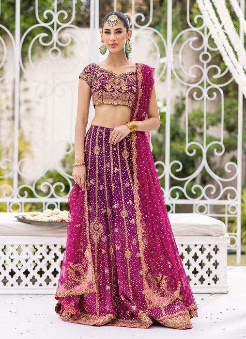 Picture of Shirin Ombre Lehenga Choli