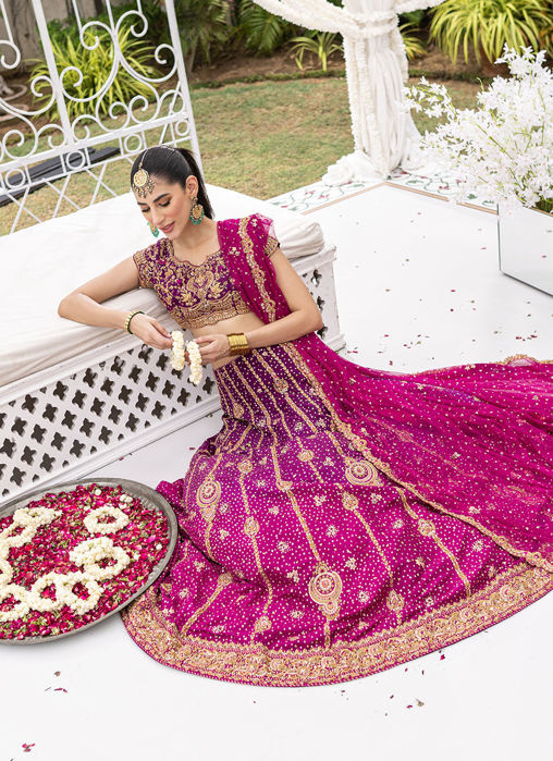 Shirin Ombre Lehenga Choli