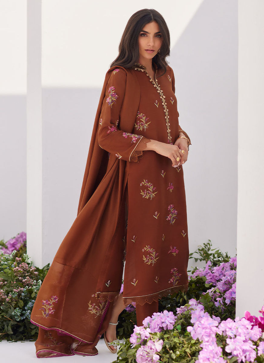 Noemie Chocolate Embroidered Raw Silk Shirt And Dupatta