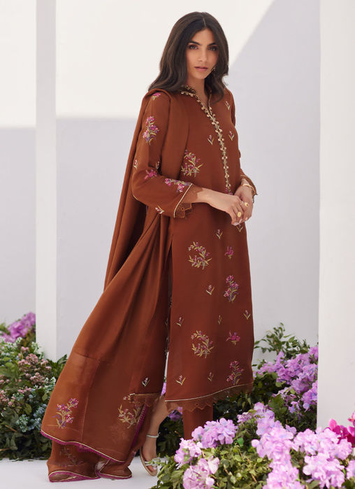 Noemie Chocolate Embroidered Raw Silk Shirt And Dupatta