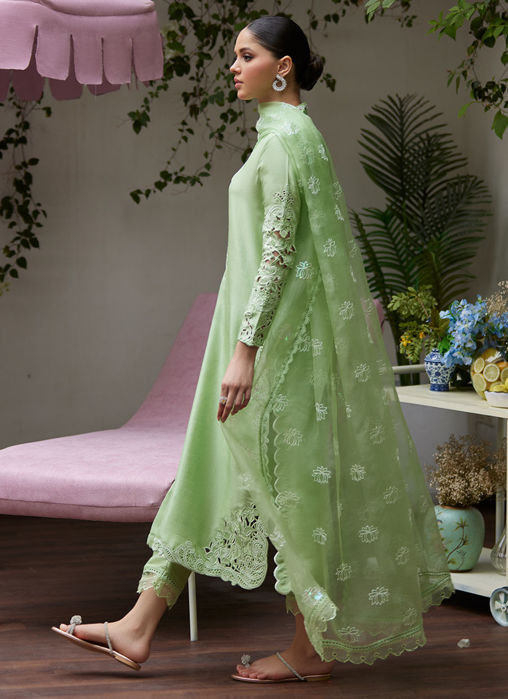Katya Apple Green Cutwork Raw Silk Shirt With Organza Dupatta