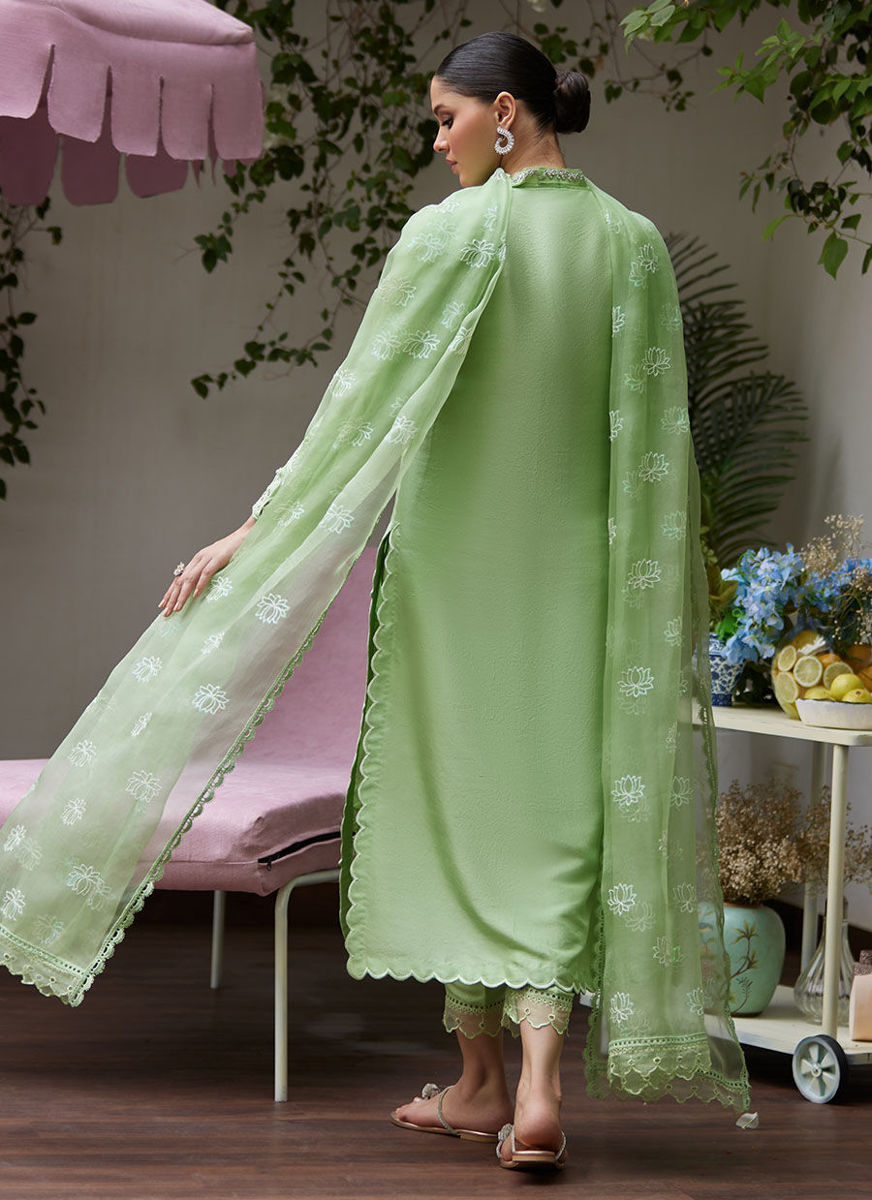 Katya Apple Green Cutwork Raw Silk Shirt With Organza Dupatta