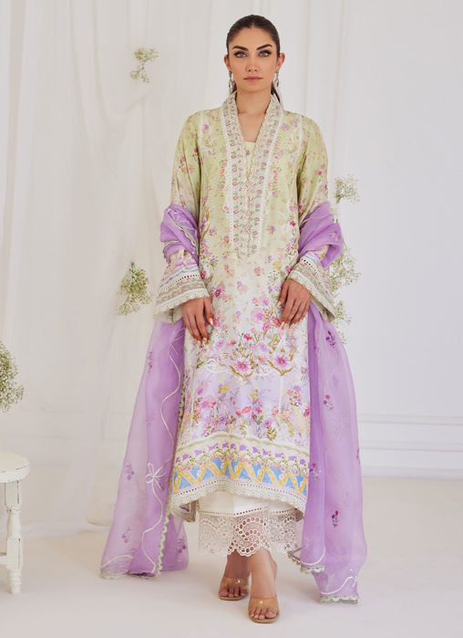 Picture of Renata Embroidered Organza Dupatta