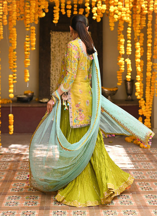 Kisa Kiwi Shirt And Do-Paincha Dhakha