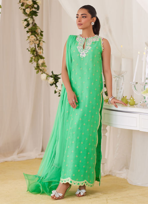 Toucan Shirt And Dupatta