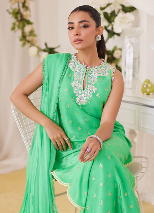 Toucan Shirt And Dupatta