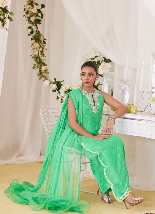 Toucan Shirt And Dupatta