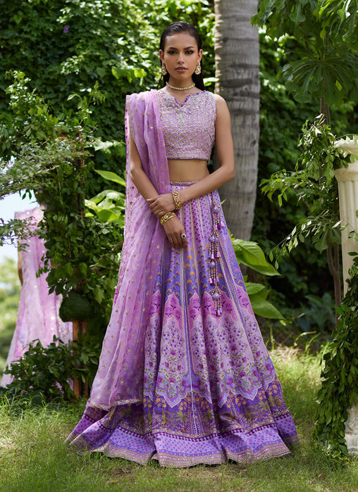 Picture of Ferazia Embellished Lehenga Choli