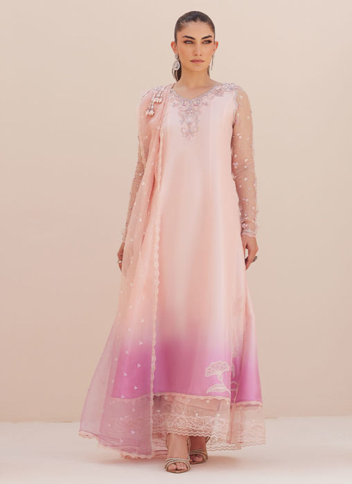 Deedee Pink Ombre Paneled Shirt And Dupatta