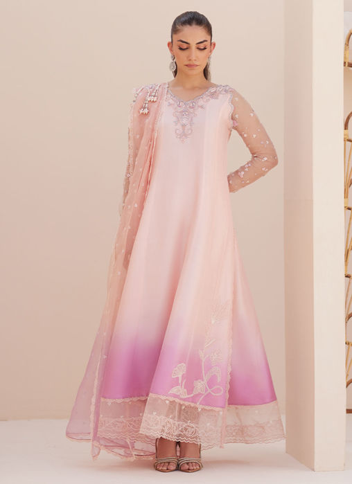 Deedee Pink Ombre Paneled Shirt And Dupatta