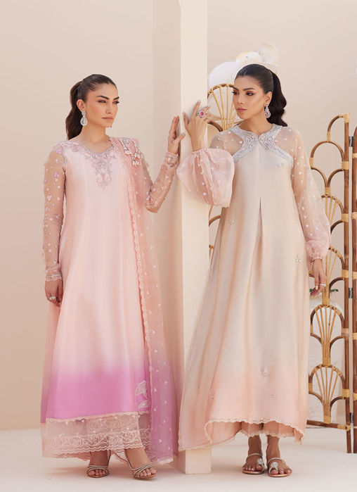 Deedee Pink Ombre Paneled Shirt And Dupatta