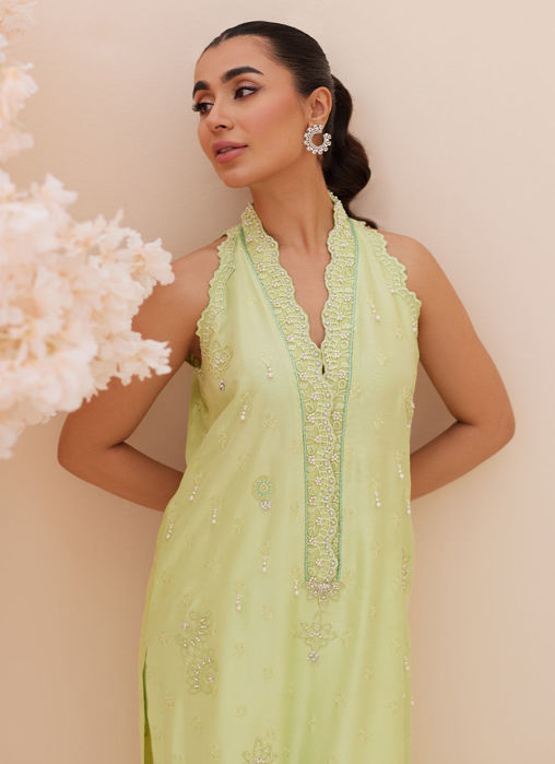 Pia Embroidered Raw Silk Shirt And Dupatta