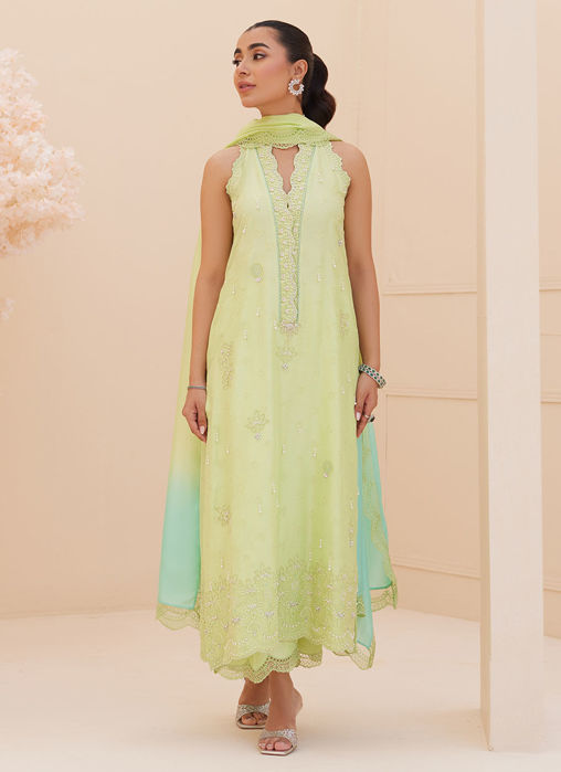 Pia Embroidered Raw Silk Shirt And Dupatta