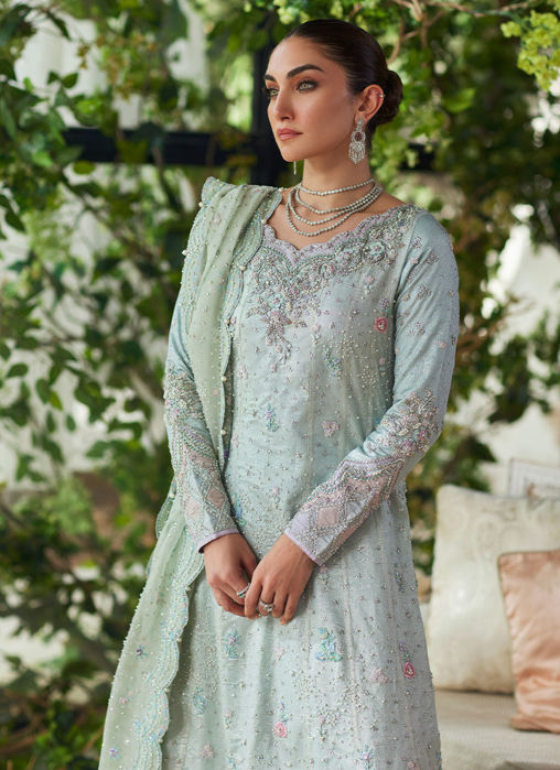 Amali Mint Kalidaar