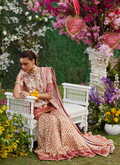 Picture of Velina Block Printed Shirt And Gharara