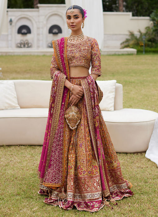 Picture of Raina Rust Lehnga Choli