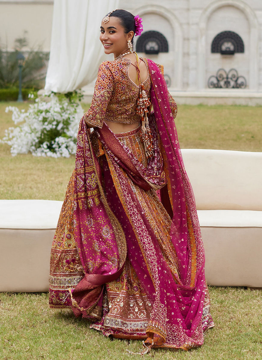 Raina Rust Lehnga Choli