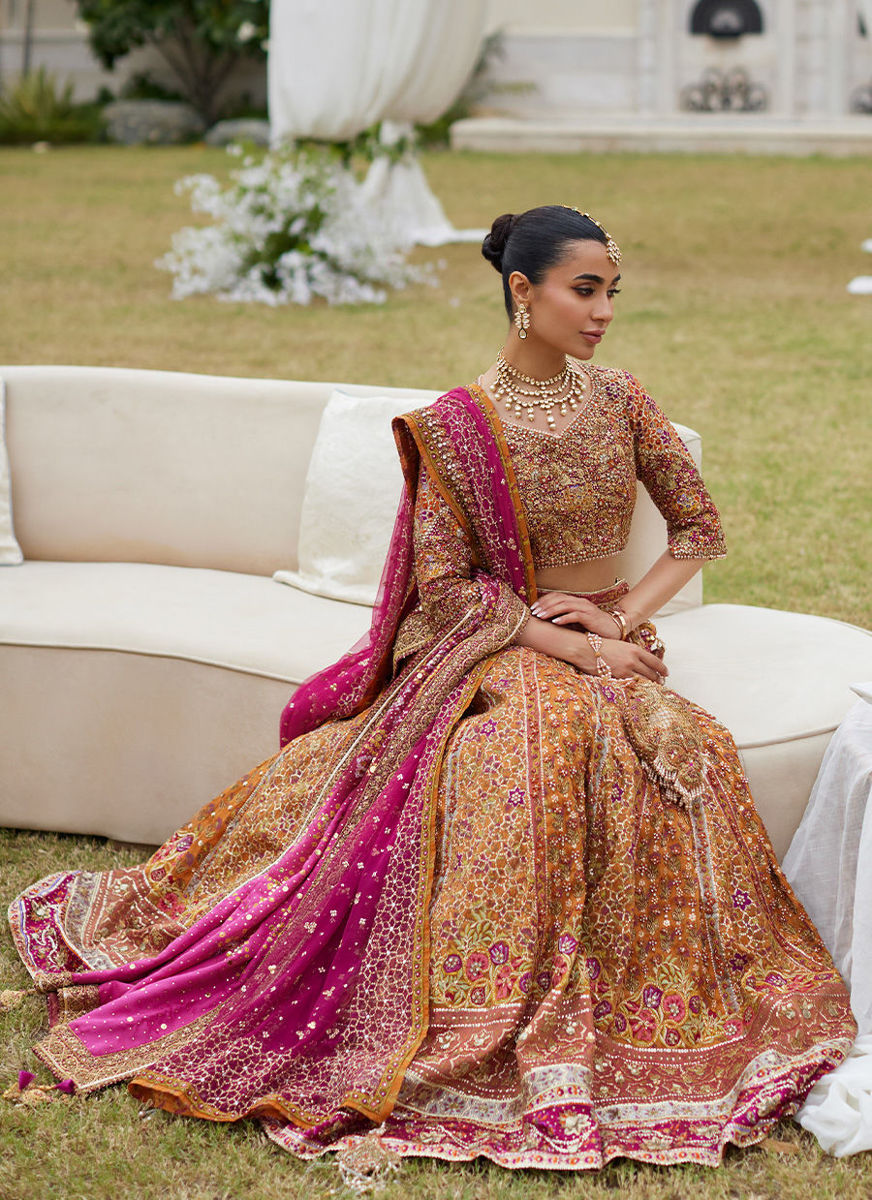 Raina Rust Lehnga Choli