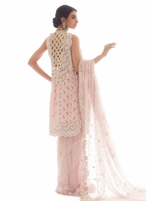 Rosa Dreamweave Saree without Cutwork Embellished Jacket