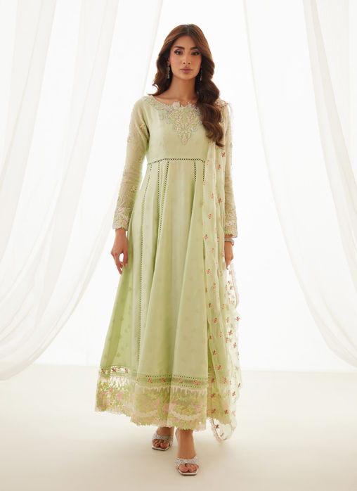 Picture of Leni Apple Green Shirt And Dupatta