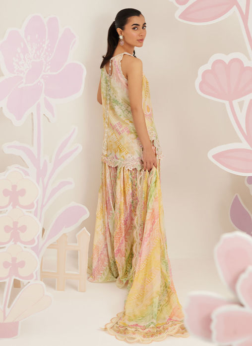 Elysia Shirt and Dupatta