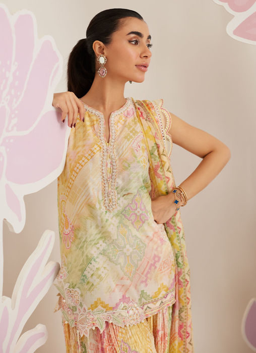 Elysia Shirt and Dupatta